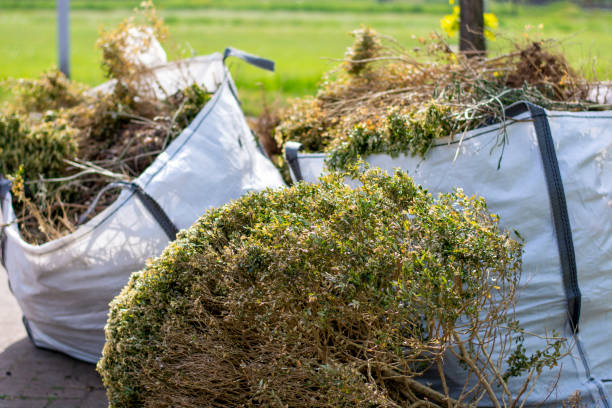 Shed Removal in Breckenridge, TX